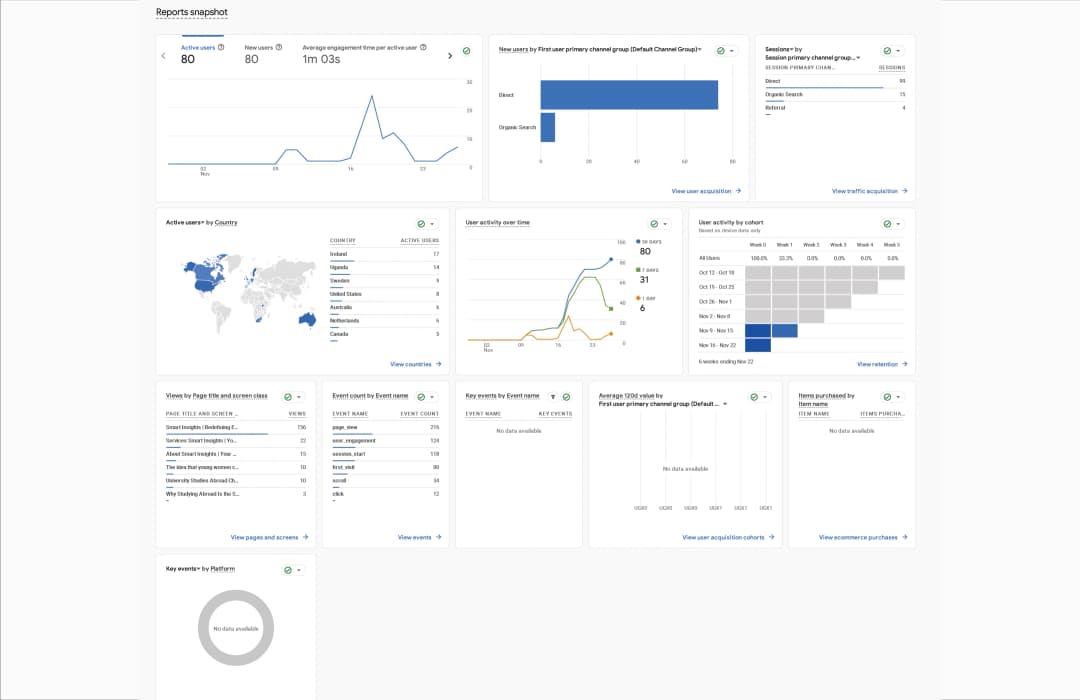 Smart Insights Website Launch: Building Credibility for a New Education Consultancy image 3